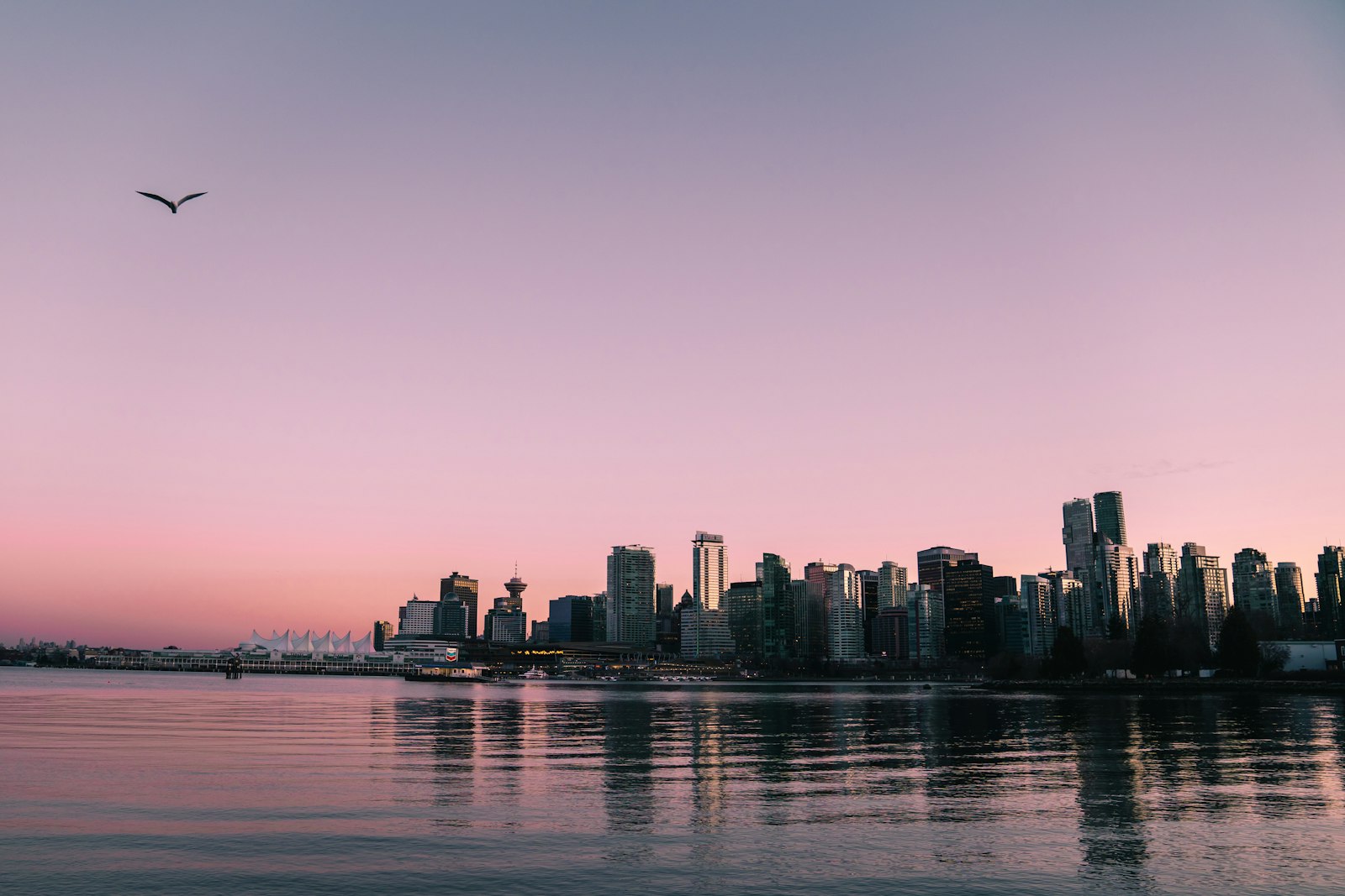 The Vancouver skyline across the water at dusk